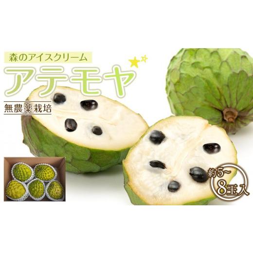 ふるさと納税 果物類 鹿児島県 与論町 先行予約 数量限定 農薬未使用 森のアイスクリーム アテモヤ2kg〜2.4kg(凡そ5玉〜8玉)