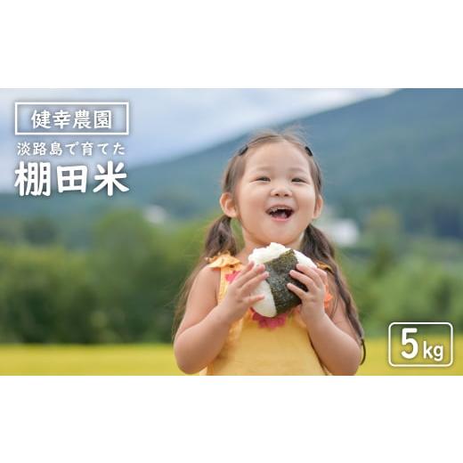 ふるさと納税 米 兵庫県 淡路市 健幸農園の棚田米 5kg 2025年産新米 5kg