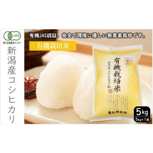 ふるさと納税 米 コシヒカリ 新潟県 新潟市 有機栽培米 新潟産コシヒカリ5kg 米 精米 お米 こしひかり 新潟