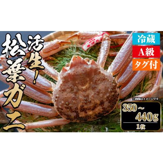 ふるさと納税 カニ 松葉ガニ 鳥取県 境港市 土日祝着 指定日不可 期間限定 11月中旬〜3月中旬発送予定 松葉ガニ 活生(350〜440g・1枚) sm-DD042-B Workplays …