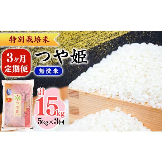 ふるさと納税 米 つや姫 山形県 寒河江市 2026年11月から2027年1月 前半 コース [先行予約]令和8年産 新米 3ヶ月定期便 [特別栽培米] つや姫 無洗米 合計…