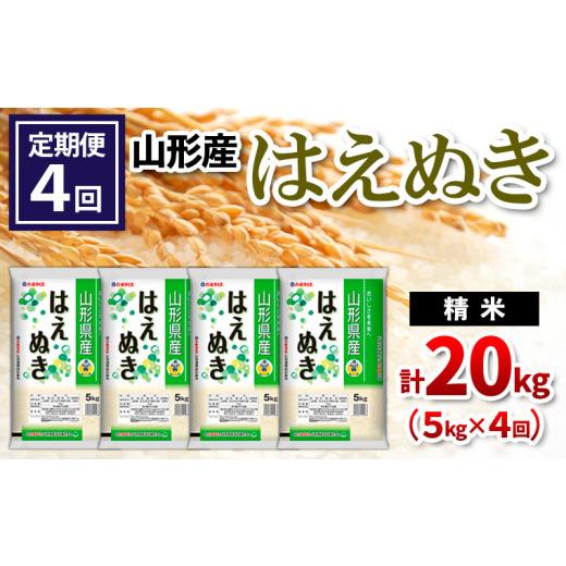 ふるさと納税 米 はえぬき 山形県 山形市  定期便4回 山形県産 はえぬき 精米 5kg×4回(計20kg) FZ26-849の画像