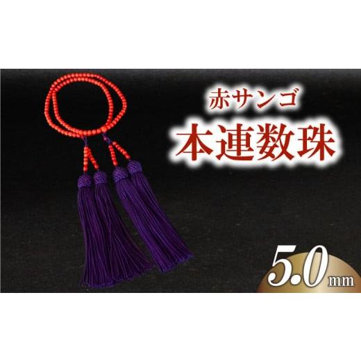 ふるさと納税 アクセサリー ブレスレット 高知県 須崎市 赤サンゴ本連数珠 5.0mm アクセサリー ギフト 珊瑚 サンゴ 贈り物 数珠 プレゼント TP068 赤サンゴ本…