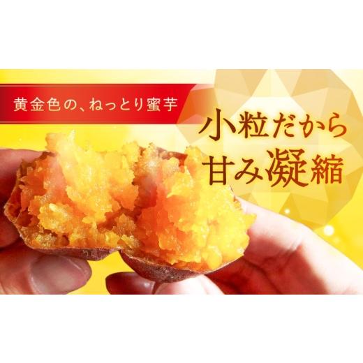 ふるさと納税 野菜類 サツマイモ 長崎県 五島市  3回定期便 3年連続日本一 焼き芋 小粒ごと芋きらりちゃん 180g×10袋 五島市／ごと PBY058 レンジで簡単 サツ…_3