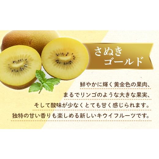 ふるさと納税 ぶどう 香川県 琴平町  フルーツ定期便 3回 《ピオーネからスタート》 Cセット ピオーネ 約1.2kg さぬきゴールド 約2.7kg 香緑 約3kg ぶどう キ…_3