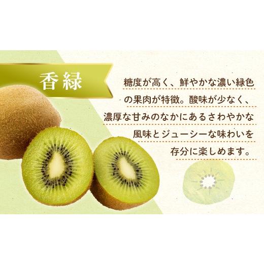 ふるさと納税 ぶどう 香川県 琴平町  フルーツ定期便 3回 《ピオーネからスタート》 Cセット ピオーネ 約1.2kg さぬきゴールド 約2.7kg 香緑 約3kg ぶどう キ…_4