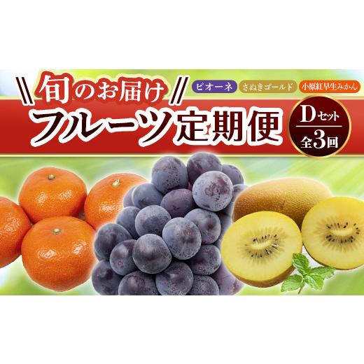 ふるさと納税 ぶどう 香川県 琴平町  フルーツ定期便 3回 《ピオーネからスタート》 Dセット ピオーネ 約1.2kg さぬきゴールド 約2.7kg 小原紅早生みかん 約4.…_1