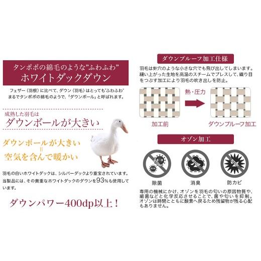ふるさと納税 タオル・寝具 掛け布団 宮崎県 都城市 充填量の多いタイプ・羽毛掛布団SL ロイヤルゴールドラベル93%_DI-J208_(都城市) ホワイトダックダウン …_4