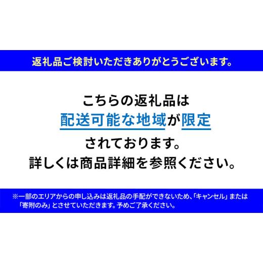 ふるさと納税 雑貨・日用品 静岡県 森町 電動アシスト自転車 YPJ CROSSCORE RC カーキジェイド 選べるサイズ e-Bikeスポーツ 静岡県西部限定　Sサイズ Sサイズ_2