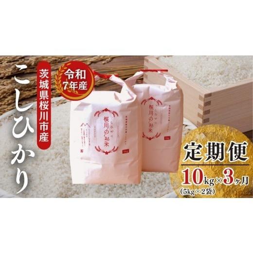 ふるさと納税 米 コシヒカリ 茨城県 桜川市 《 3ヶ月 定期便 》 生産者支援 《令和7年産》 茨城県桜川市産 こしひかり 10kg ( 5kg × 2袋 ) × 3回 茨城県産 …_1