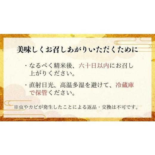 ふるさと納税 米 コシヒカリ 茨城県 桜川市 《 3ヶ月 定期便 》 生産者支援 《令和7年産》 茨城県桜川市産 こしひかり 10kg ( 5kg × 2袋 ) × 3回 茨城県産 …_2