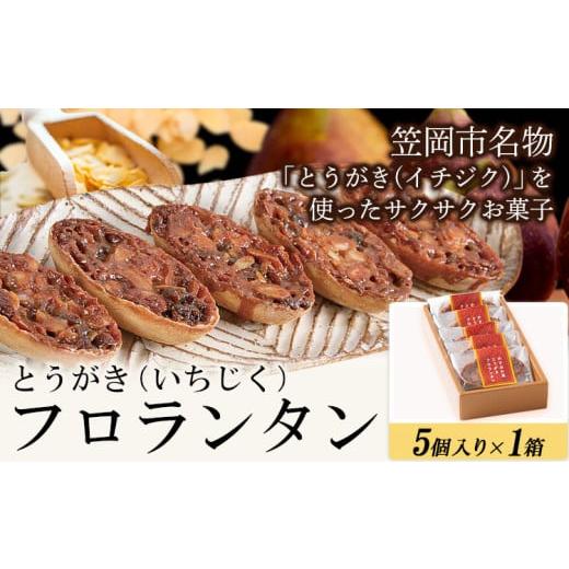 ふるさと納税 焼菓子・チョコレート クッキー 岡山県 笠岡市 かさおか産 とうがきフロランタン 1箱 藤屋菓子舗 [45日以内に出荷予定(土日祝除く)]お菓子 焼…