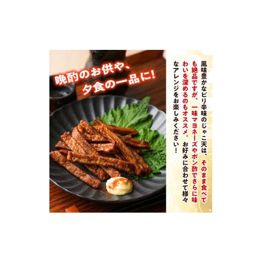 ふるさと納税 かまぼこ・練り製品 宮崎県 門川町  訳あり おつまみじゃこ天(計1kg・500g×2袋) すりみ さつまあげ じゃこ おつまみ おかず 弁当 惣菜 おでん …の画像