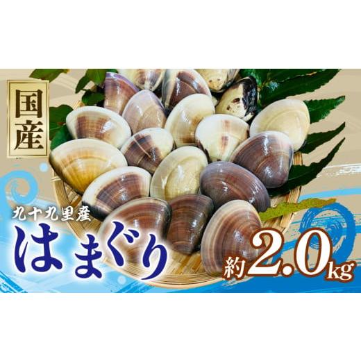 ふるさと納税 しじみ・あさり・蛤 蛤(はまぐり) 千葉県 旭市 はまぐり 合計 約 2kg 30-60g/60-90g 各2パック 千葉県産 液体冷凍 九十九里 貝 魚貝 海鮮 砂…
