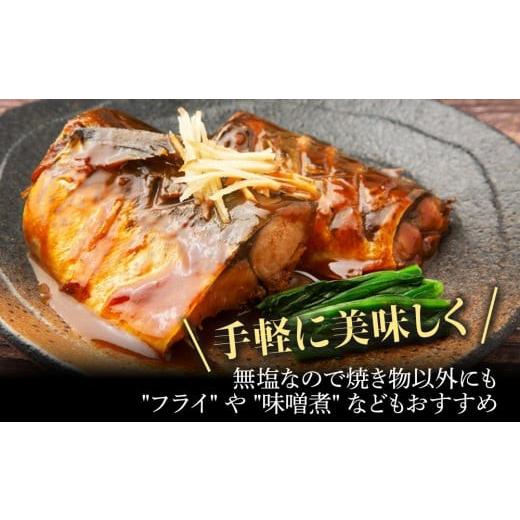 ふるさと納税 旬の鮮魚等 千葉県 長生村 C01-A56 骨取りサバ切り身 5kg_4