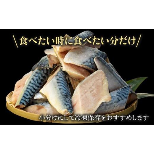 ふるさと納税 旬の鮮魚等 千葉県 長生村 C01-A56 骨取りサバ切り身 5kg_5