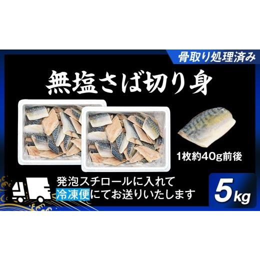 ふるさと納税 旬の鮮魚等 千葉県 長生村 C01-A56 骨取りサバ切り身 5kg_6