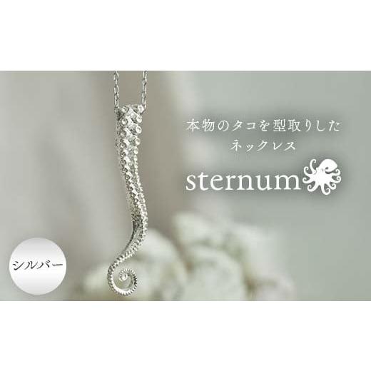 ふるさと納税 アクセサリー ネックレス 山口県 山陽小野田市 本物のタコを型取りしたネックレス sternum シルバー silver アクセサリー ファッション F6L-1113…
