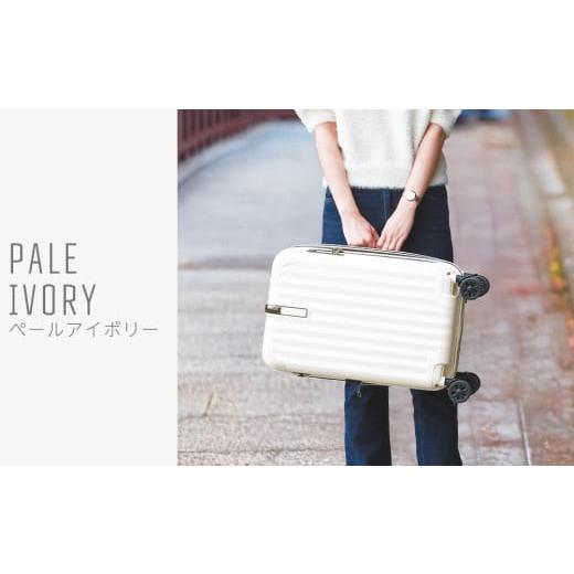 ふるさと納税 カバン 福岡県 大木町 PROEVO ファスナーキャリー スーツケース ストッパー付き 修学旅行に最適 LMサイズ(エンボス/ペールアイボリー) 10003S …