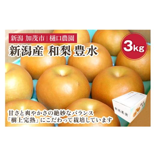 ふるさと納税 梨 新潟県 加茂市 2026年先行予約 和梨 豊水 3kg(6〜9玉)[9月上旬から順次発送] 果物 なし ほうすい 梨 フルーツ 新鮮 ジューシー 産地 加…