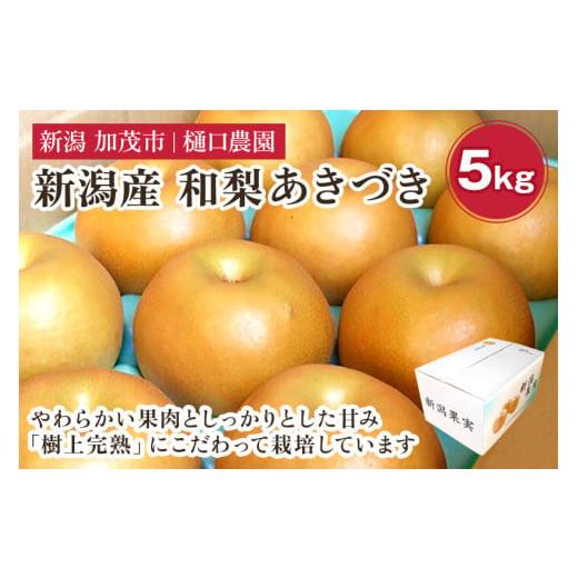 ふるさと納税 梨 新潟県 加茂市 2026年先行予約 和梨 あきづき 5kg(8〜14玉)[9月中旬〜順次出荷]果物 なし 梨 フルーツ 新鮮 ジューシー 産地 加茂市 樋…