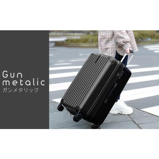 ふるさと納税 カバン 福岡県 大木町 PROEVO ファスナーキャリー スーツケース 受託手荷物対応 Lサイズ(エンボス/ガンメタリック) 10004S 福岡県 大木町 株式…