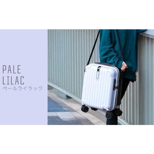 ふるさと納税 カバン 福岡県 大木町 PROEVO ファスナーキャリー スーツケース 受託手荷物対応 Lサイズ(エンボス/ペールライラック) 10004S 福岡県 大木町 株…