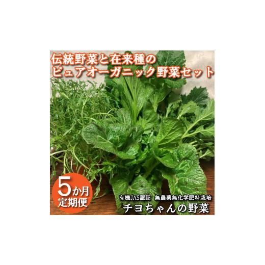 ふるさと納税 セット・詰合せ 兵庫県 多可町 季節限定 伝統野菜と在来種のピュアオーガニック野菜セット5か月定期便 1180 出荷時期は1月〜6月末 播州 伝統…