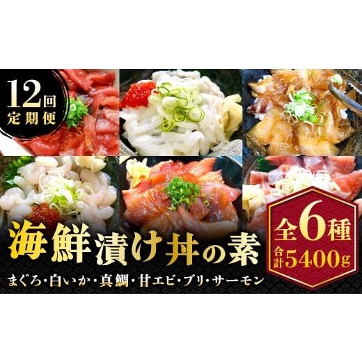 ふるさと納税 魚貝類 鳥取県 日吉津村  12回定期便 海鮮漬け丼・昆布締め丼の素 真鯛 サーモンまぐろ 白いか 甘エビ ブリ 丼 素 海鮮丼 12回 1年 コース 定期…_1