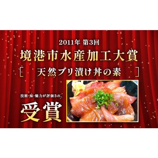 ふるさと納税 魚貝類 鳥取県 日吉津村  12回定期便 海鮮漬け丼・昆布締め丼の素 真鯛 サーモンまぐろ 白いか 甘エビ ブリ 丼 素 海鮮丼 12回 1年 コース 定期…_3