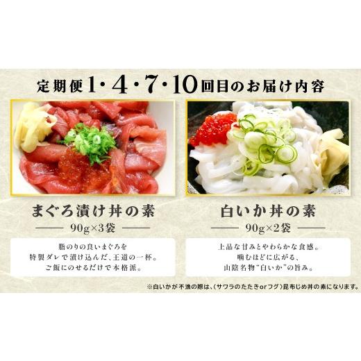 ふるさと納税 魚貝類 鳥取県 日吉津村  12回定期便 海鮮漬け丼・昆布締め丼の素 真鯛 サーモンまぐろ 白いか 甘エビ ブリ 丼 素 海鮮丼 12回 1年 コース 定期…_5