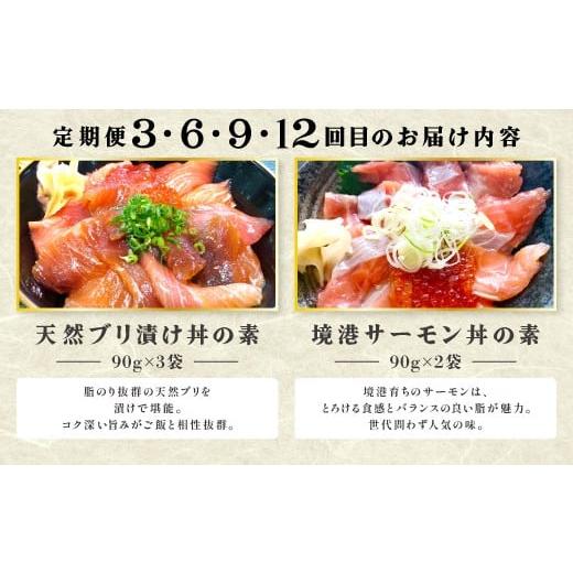 ふるさと納税 魚貝類 鳥取県 日吉津村  12回定期便 海鮮漬け丼・昆布締め丼の素 真鯛 サーモンまぐろ 白いか 甘エビ ブリ 丼 素 海鮮丼 12回 1年 コース 定期…_7