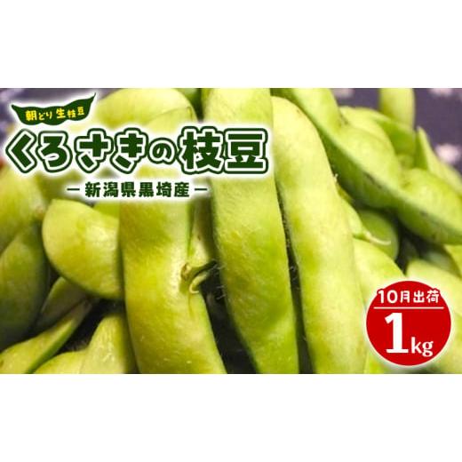 ふるさと納税 豆類 枝豆 新潟県 新潟市 9月末〜10月くろさきの枝豆 1kg 新潟県黒埼産 朝どり生枝豆