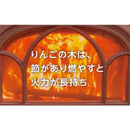ふるさと納税 アウトドアグッズ 長野県 飯綱町 リンゴ薪 10kg りんご村の薪屋さん 林檎 まき マキ 木材 ストーブ 再利用 乾燥 バラ科 沖縄県への配送不可 2024…の画像