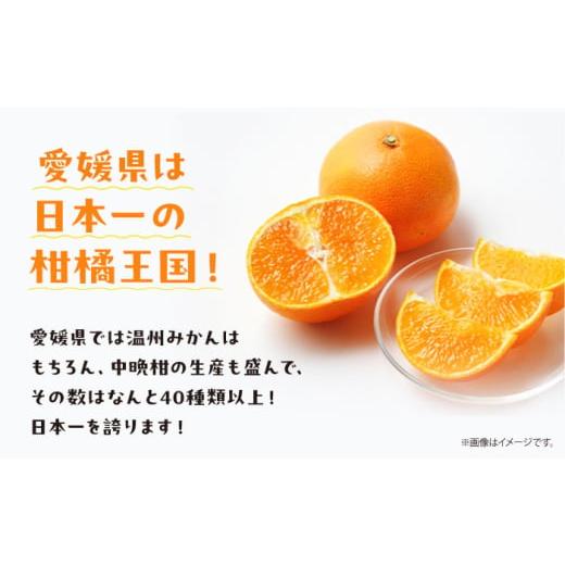 ふるさと納税 果汁飲料 みかん 愛媛県 大洲市 「まどんな」100%ストレートジュース（720ml×12本） 愛媛県大洲市／峯田農園 AGBT016 くだもの 果物 フルーツ …の画像