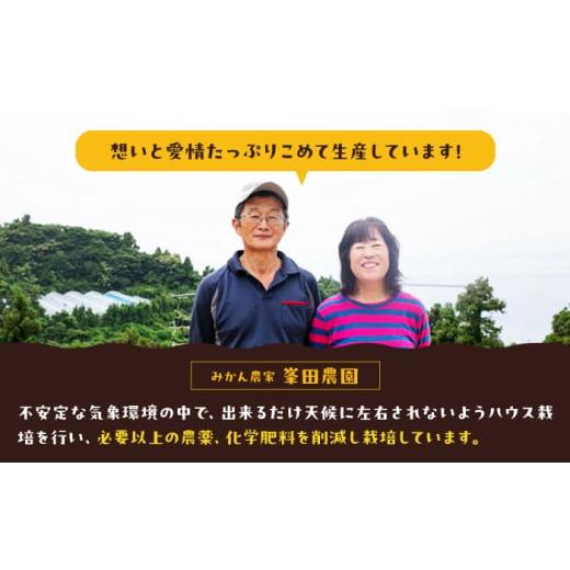 ふるさと納税 果汁飲料 みかん 愛媛県 大洲市 「まどんな」100%ストレートジュース（720ml×12本） 愛媛県大洲市／峯田農園 AGBT016 くだもの 果物 フルーツ …の画像