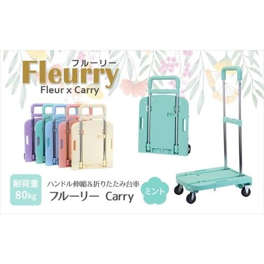 ふるさと納税 雑貨・日用品 愛知県 春日井市 ハンドルが伸縮する台車「フルーリーCarry」 カラー:ミント(グリーン) カラー:ミント(グリーン)