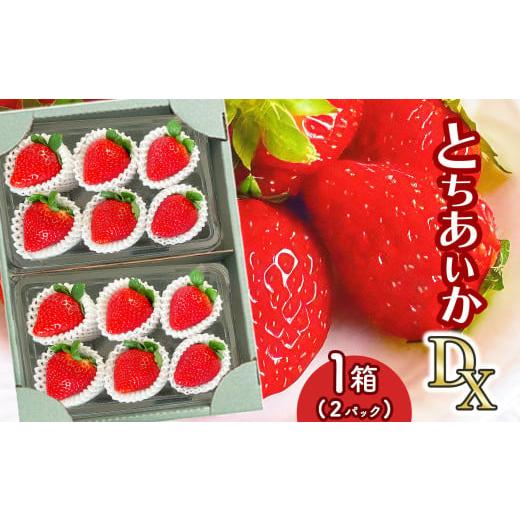 ふるさと納税 いちご 栃木県 真岡市 とちあいか DX 1箱(2パック) 真岡市 栃木県 | 苺 いちご ストロベリー パック 厳選 手作り 手づくり 農家 特産品 栃木県 …