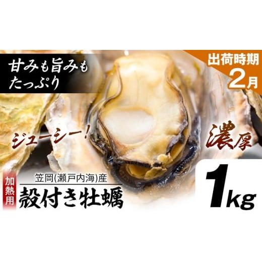 ふるさと納税 牡蠣 生牡蠣 岡山県 笠岡市 牡蠣事業者応援 笠岡産 (瀬戸内海産) 殻付き牡蠣 (加熱用) 1kg[2月上旬-2月末頃出荷]岡山県 笠岡市 かき カキ 牡蠣…