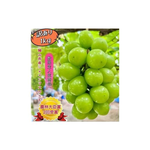 ふるさと納税 果物類 ぶどう 岡山県 岡山市 ぶどう 2026年 訳あり シャインマスカット 約1kg 岡山 国産 果物 フルーツ シャイン マスカット2026年7月中旬から…