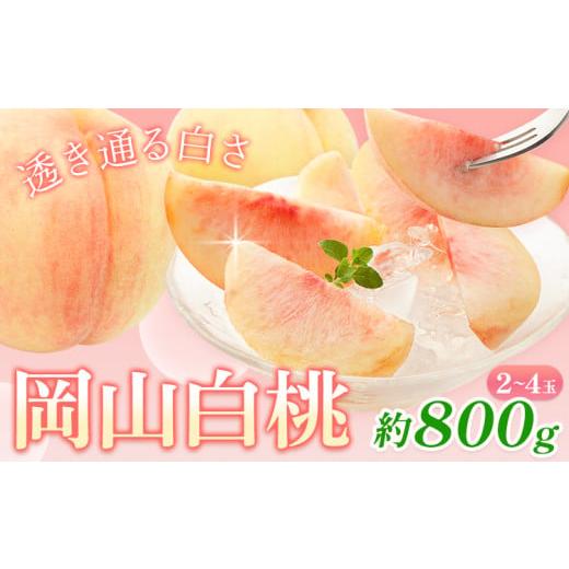ふるさと納税 もも 岡山県 浅口市 2026年先行予約 桃 岡山白桃 800g 2-4玉 株式会社藍[2026年7月中旬-7月末頃出荷] 岡山県 浅口市 岡山県産 もも フルーツ …