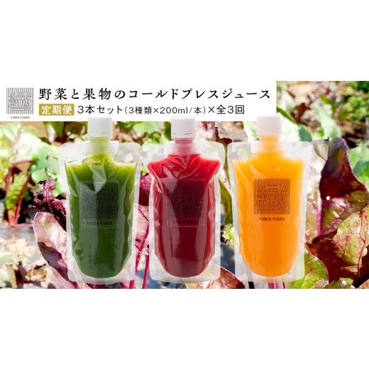 ふるさと納税 果汁飲料 茨城県 つくばみらい市 定期便 全3回 野菜と果物の コールドプレスジュース 200ml × 3本セット 酵素ドリンク ライフスタイル 健康 …