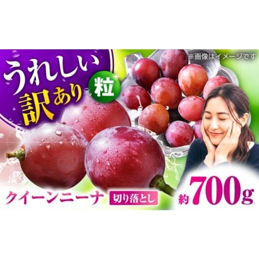 ふるさと納税 ぶどう 熊本県 山鹿市 2026年発送先行予約 訳あり クイーンニーナ ぶどう 切り落とし 約700g 合同会社 社方園