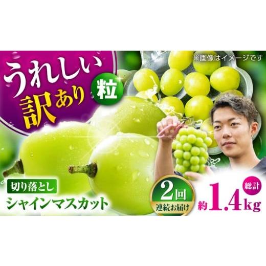 ふるさと納税 ぶどう マスカット 熊本県 山鹿市 先行予約 2回定期便 訳あり シャインマスカット 切り落とし 約700g 合同会社 社方園