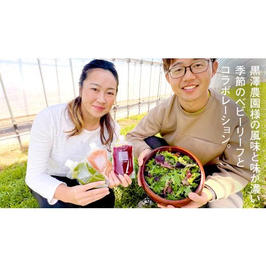 ふるさと納税 果汁飲料 茨城県 つくばみらい市  定期便 全３回 野菜と果物の コールドプレスジュース 200ml × 6本セット 酵素ドリンク ライフスタイル 健康 …_3
