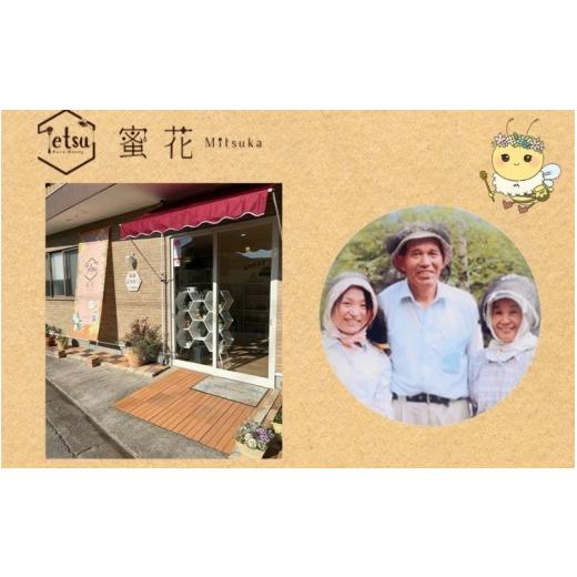 ふるさと納税 加工品等 はちみつ 和歌山県 みなべ町 百花蜂蜜 約500g×2本 nkmryoho005Aの画像