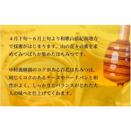 ふるさと納税 加工品等 はちみつ 和歌山県 みなべ町 百花蜂蜜 約200g×5本 nkmryoho007A_2