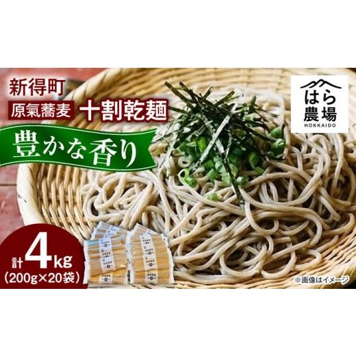 ふるさと納税 そば 乾めん 北海道 新得町  お中元対象 原氣蕎麦 十割乾麺 20袋 | はら農場 BNAG012_1