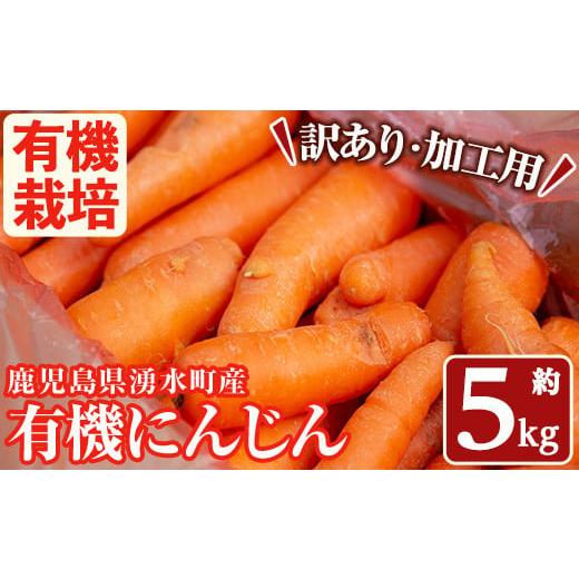 ふるさと納税 野菜類 人参 鹿児島県 湧水町 y503 訳あり・数量限定 湧水町産有機にんじん(約5kg) 国産 九州産 鹿児島産 有機野菜 有機栽培 にんじん 人参 ニン…