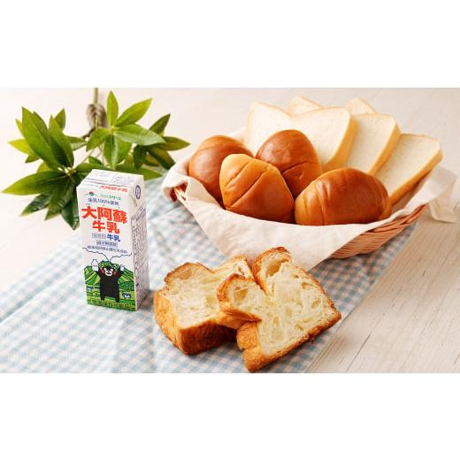 ふるさと納税 飲料類 牛乳 熊本県 高森町  2ヶ月毎2回定期便 大阿蘇牛乳 200ｍl 計48本（24本×2回） 牛乳 乳飲料 生乳100%_2